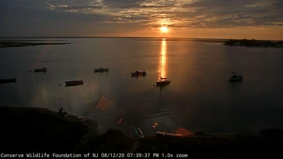 Image of Sunset view from the Osprey Cam on August 12, 2020. 
