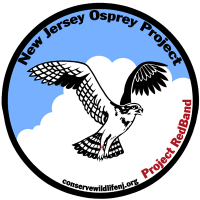 Image of Osprey - red band logo