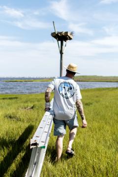 Image of Show your love for the recovery of ospreys in New Jersey with an offical NJOP shirt!