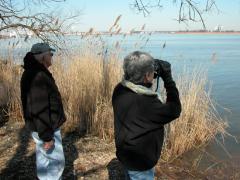 Image of Volunteers Bunny and Elmer Clegg watch a pair of Bald eagles in the distance.
