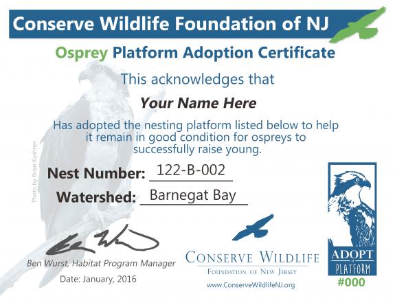 Image of Included with the adoption of an Osprey platform is this certificate and a map of the location of the platform. View a PDF version.