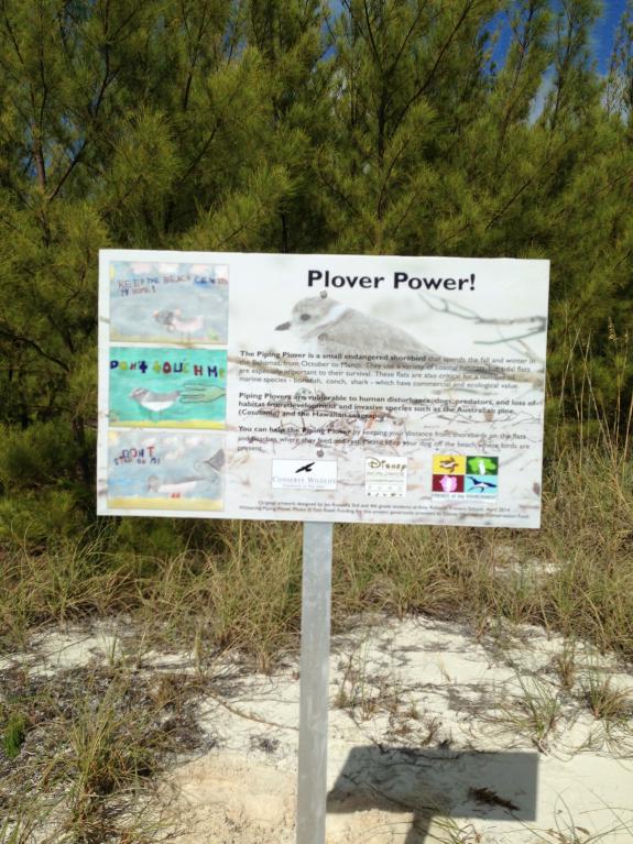 Image of Plover Power! Wintering Piping Plover Interpretive Sign installed at Gillam Flats, Green Turtle Cay, Abaco, The Bahamas. The interpretive sign was designed using original artwork by Jan Russell’s 3rd and 4th grade students at Amy Roberts Primary School, Green Turtle Cay as part of the Shorebird Sister School Network program conducted by Conserve Wildlife Foundation of New Jersey and Friends of the Environment.