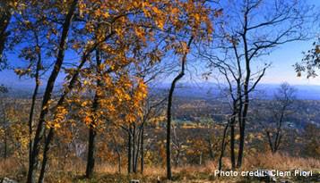 Image of Kittatinny Ridge