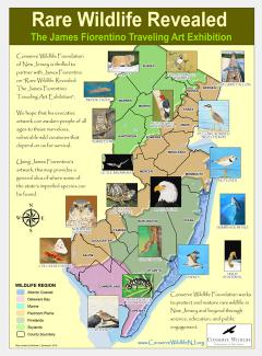 Image of Using James Fiorentino's artwork, this map provides a general idea of where some of New Jersey's imperiled species can be found.