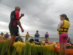 Image of Emily K. takes a break from kayaking to explore the salt marsh ecosystem and seek instructions from Program Director Jim Merritt.