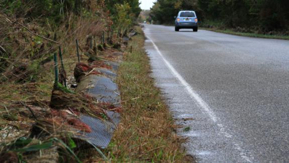 Image of Terrapin barrier fence along Great Bay Blvd. in Little Egg Harbor was damaged by the storm surge from Superstorm Sandy.