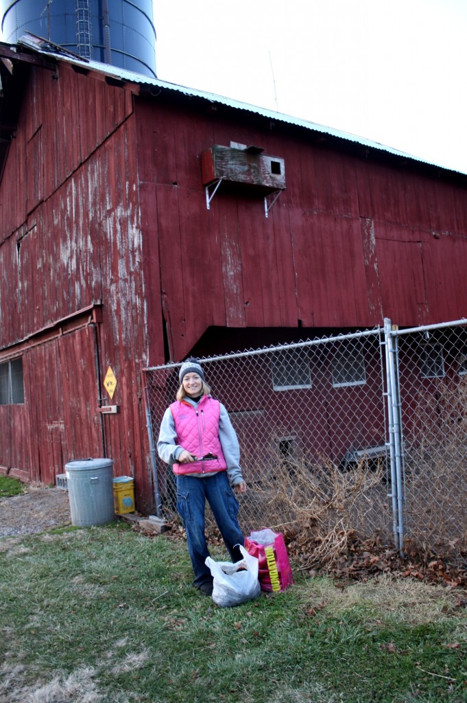 Barn Own Box Housekeeping