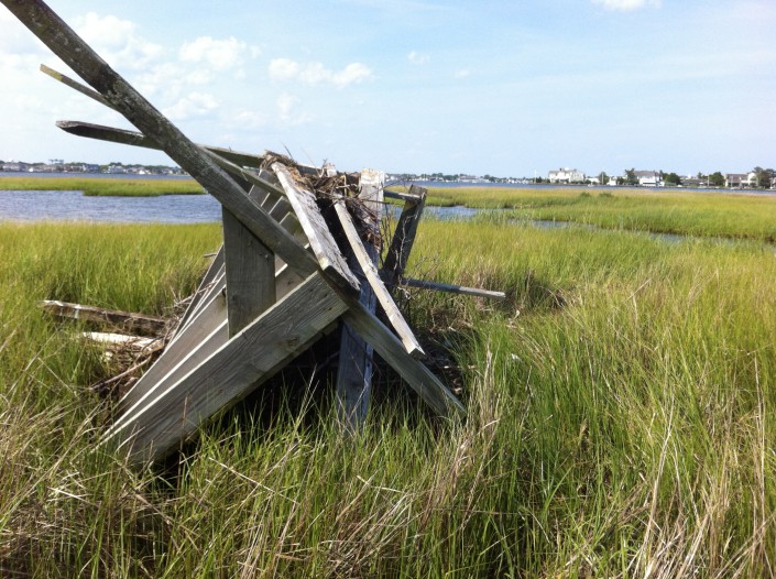 An old duck blind that once held an osprey nest.