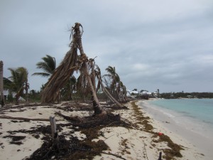 Evidence of Impact of Hurricane Sandy in the Bahamas