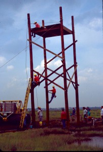 Building a hack-nest tower in New Jersey. Courtesy NJDFW