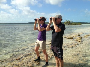 Biologists, Stephanie Egger and Todd Pover scoping out the island of Eleuthera for piping plovers.