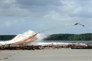 Heavy projectiles powered by gunpowder pull the net over birds quickly. The speed of the cannon net is key to catching fast-moving shorebirds.