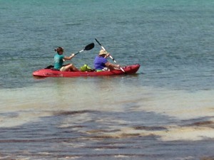 Annette Scherer, retired U.S. Fish and Wildlife Service Endangered Species Biologist (R), kayaking with Stephanie Egger, CWFNJ Biologist (L), to the marine flats in search of Piping Plovers. 