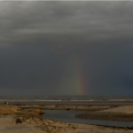 A rainbow follows one of the many downpours that drenched us as we struggled to catch red knots on Curupu. A few rounds of soaking rain followed by blazing sun on our last day left the team in terrible spirits.