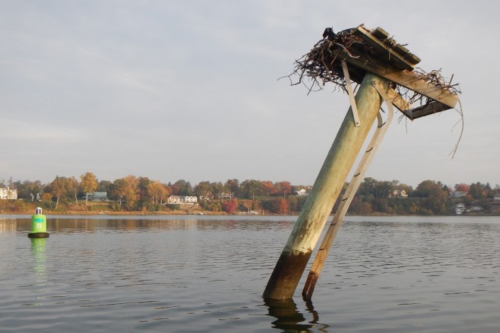 083-A-007 on the Navesink needs some TLC!