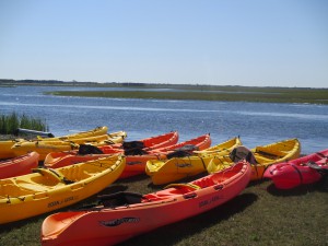 Kayaking at Sedge Island (c) Stephanie Feigin