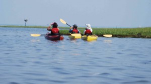 birding by kayak