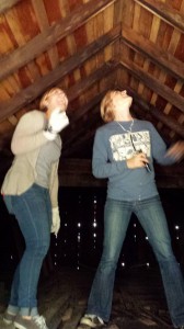 Stephanie Feigin and MacKenzie Hall monitoring a bat roost in an attic