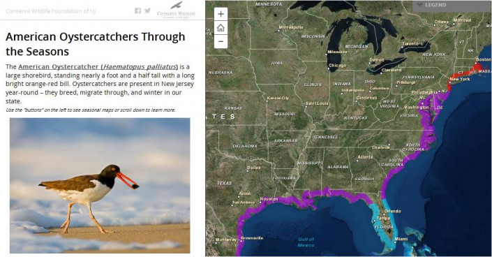 storymap