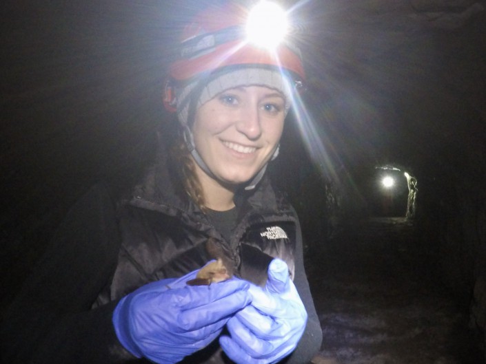 CWF Wildlife Ecologist Stephanie Feigin holding Little Brown Bat (c) Stephanie Feigin