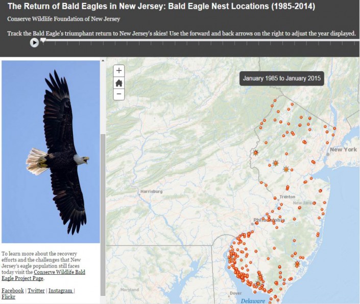 Bald Eagle Story Map