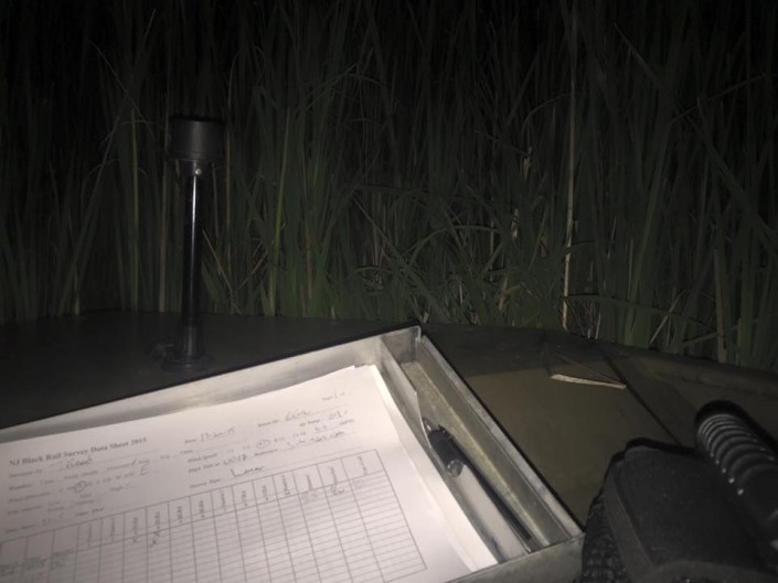 What you can see at night while listening for Black Rail. Shown are the datasheet and speaker that plays the various calls. Photo courtesy of Tom Reed.