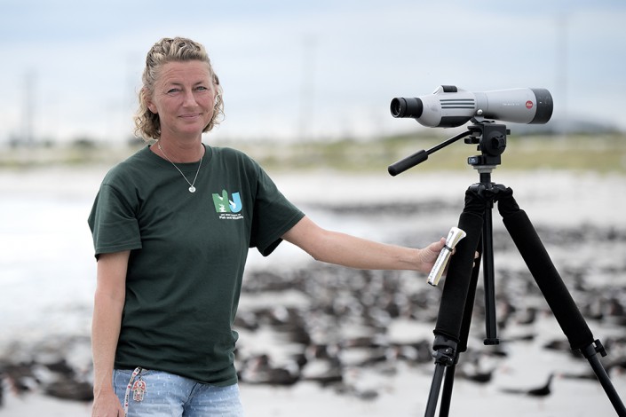 Laura Hardy, one of the blog authors, pauses as she attempts to count a colony of several thousand black skimmers. Photo by Donna L. Schulman.