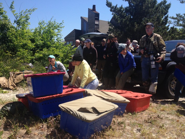 The team waiting with our bins. Photo by Lindsay McNamara