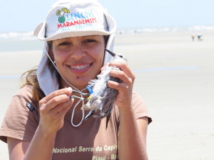 Ana Paula with Red Knot