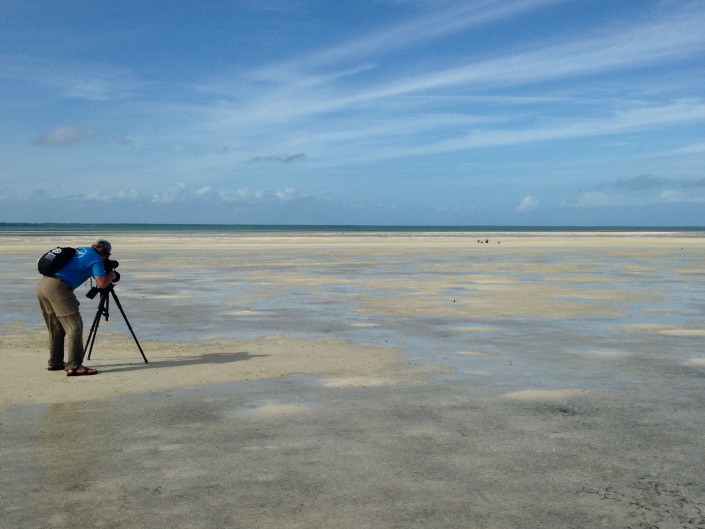 The author, CWF's Todd Pover, scoping out  piping plovers during the census.