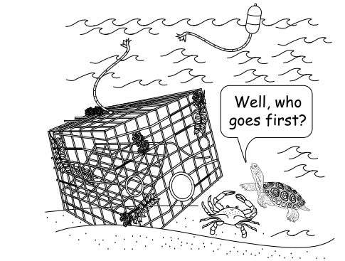 Image by: Jessie Peter (2009) “The Educator’s Guide to Marine Debris”