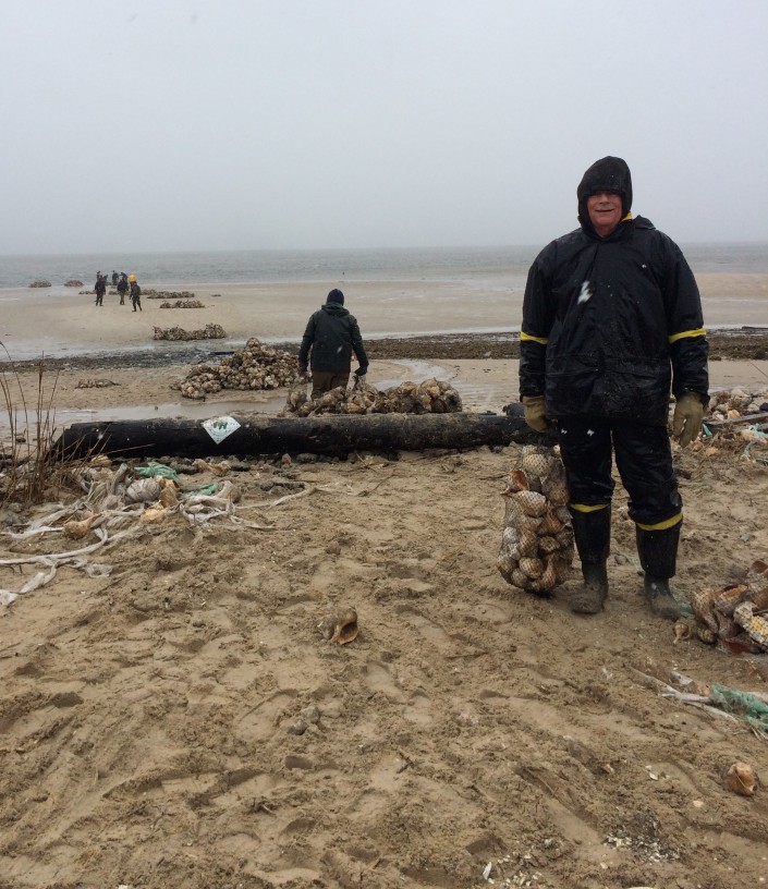 Our "assembly line" of volunteers all working together to build the reef.