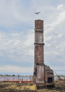 Osprey builds nest on chimney. Photo by Kevin Knutsen.