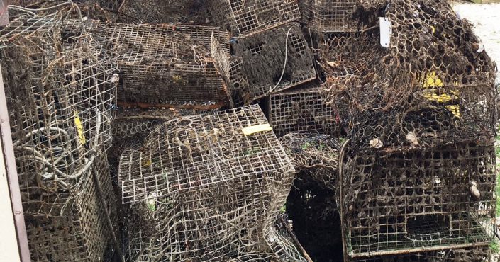 A pile of abandoned crab pots before being processed at the WeCrab community day.