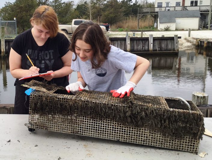 MATES students collecting data at community data.