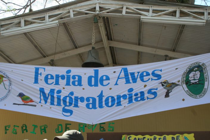 Migratory Bird Festival photo by Kelly Triece