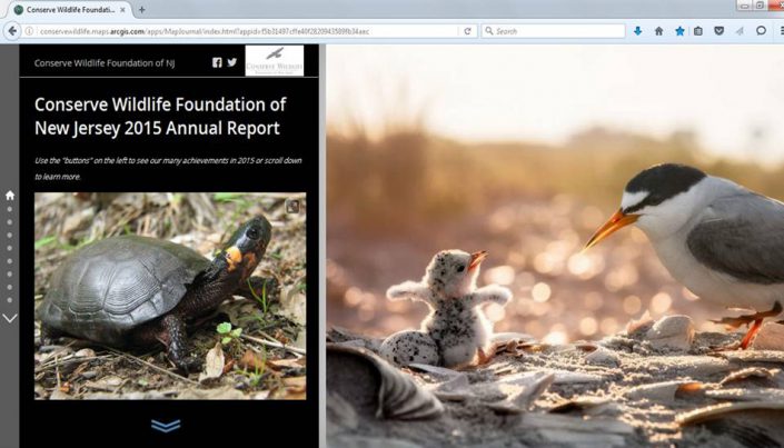 2015 Conserve Wildlife Foundation Annual Report.