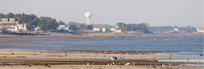 aquaculture and birds