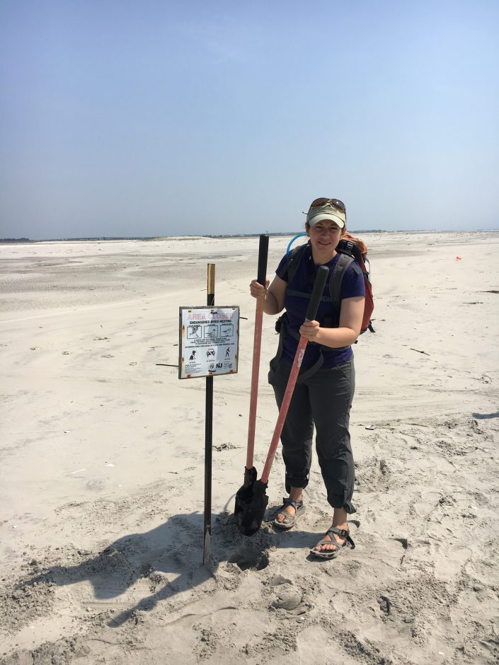 Our work is never done...CWF Wildlife Biologist Emily Heiser posting a new nesting area for endangered least terns.