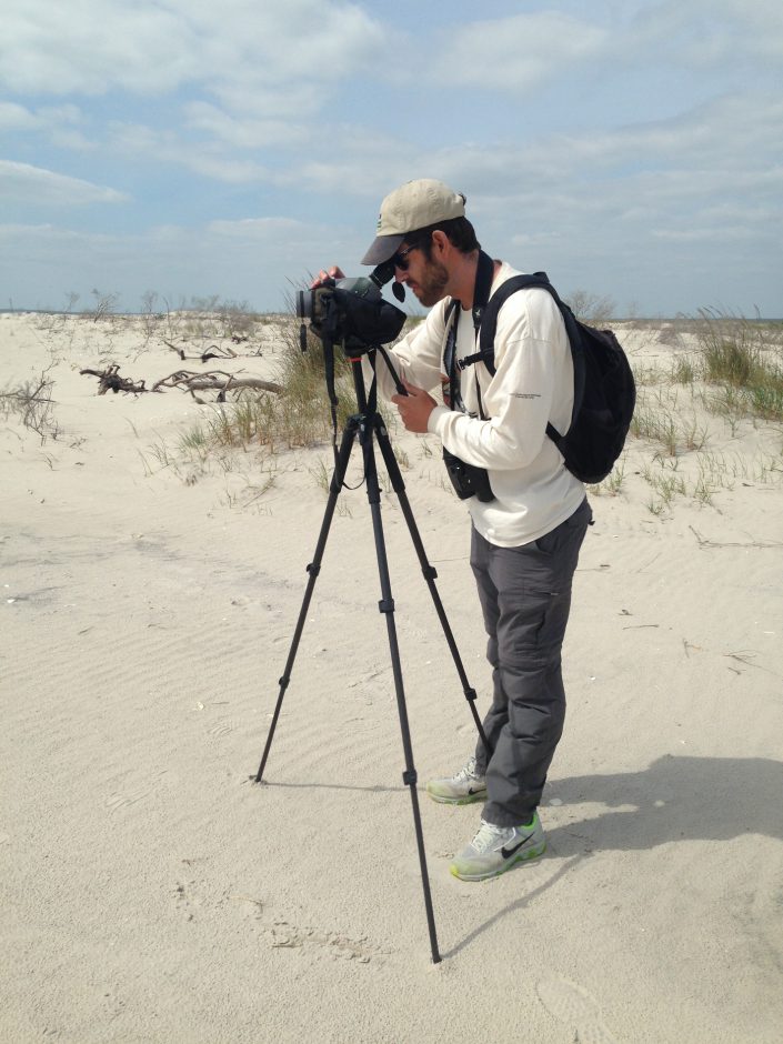 CWF Field Technician Jesse Amesbury busy conducting annual piping plover census at Edwin B. Forsythe NWR.