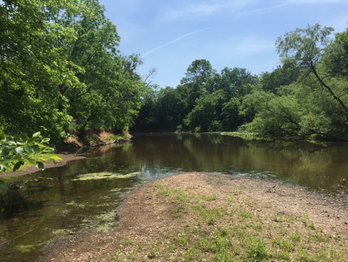 Lamington River, Bedminster, Somerset County. Location of American toads.