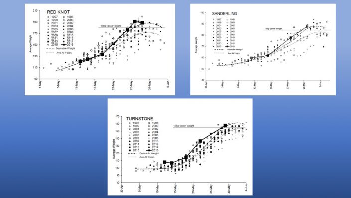 weight graphs