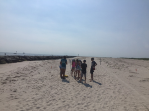 Campers spot some plovers and oystercatchers feeding in vernal pools along the inlet at Barnegat Light. 