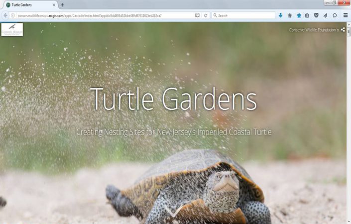 Screen-shot of the Turtle Gardens story map.