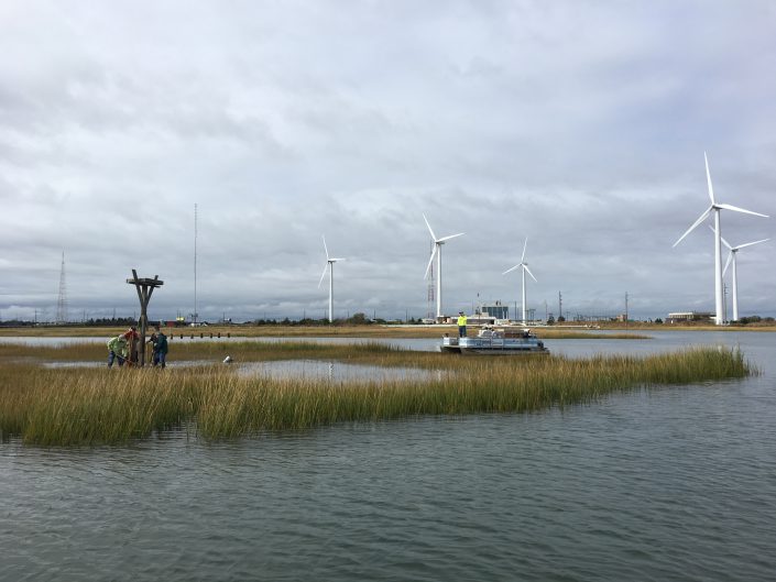 Volunteers work on a flooded saltmash to remove an osprey nesting platform in Atlantic City. 