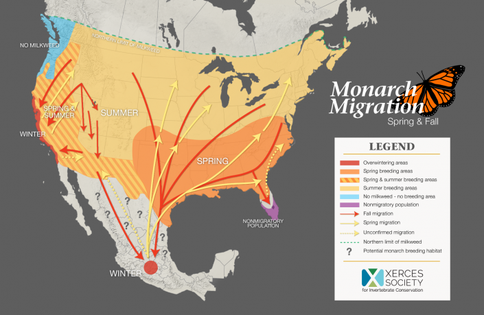 From the Xerces Society. Map depicts the known general migration routes of monarch butterflies.