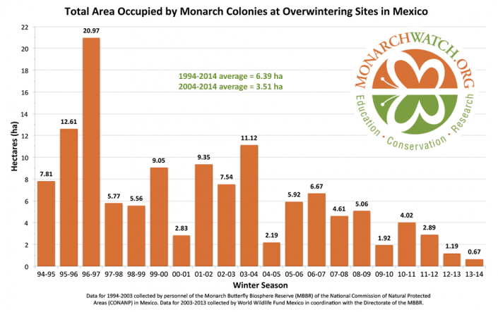 Monarch abundance in wintering grounds is measured as area in hectares. They roost in large colonies in the Transvolcanic Mountains in Mexico. The 2013-2014 overwintering population experienced the lowest recorded area to date, at 0.67 ha. From MonarchWatch.org. 