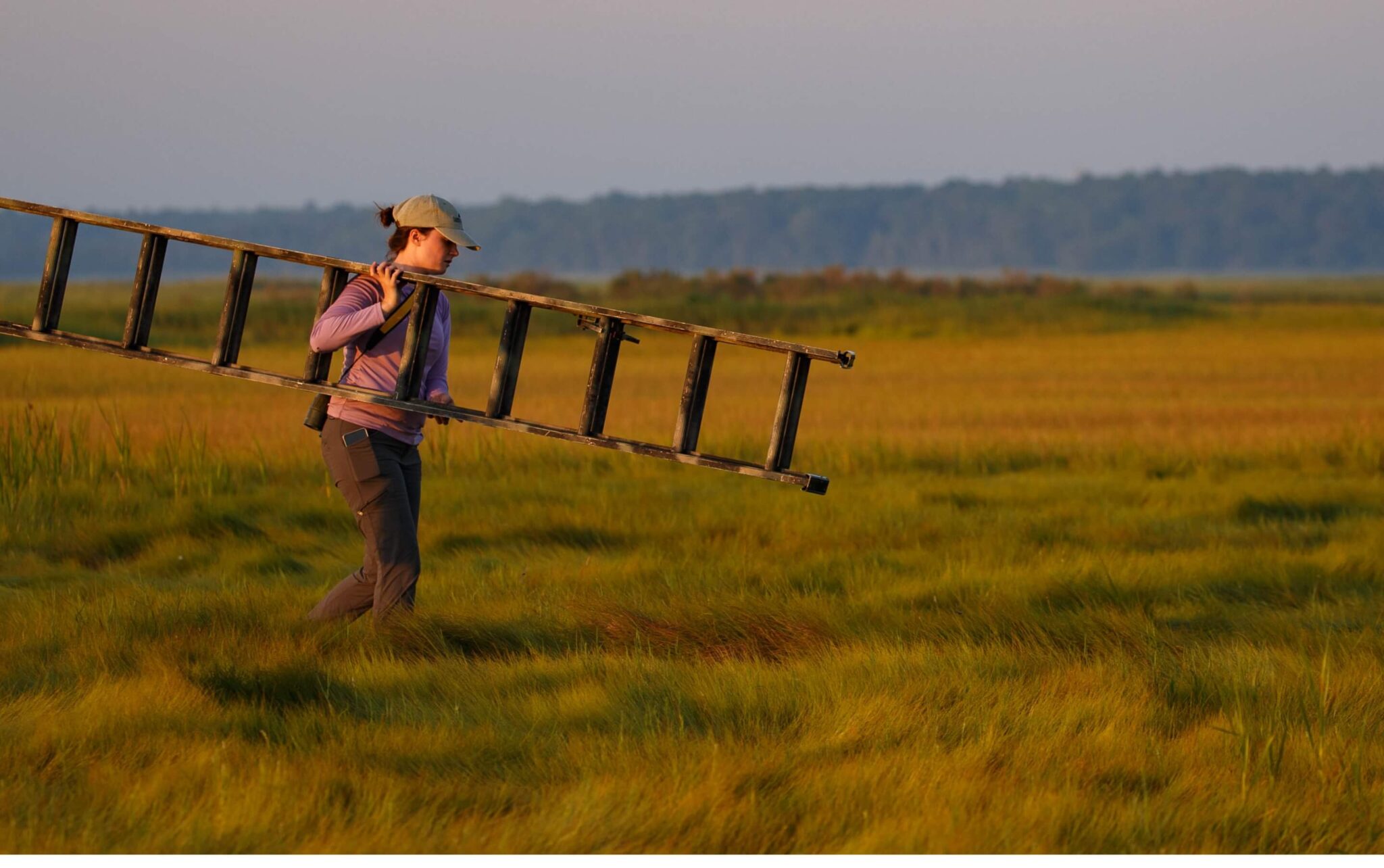 Careers + Interships