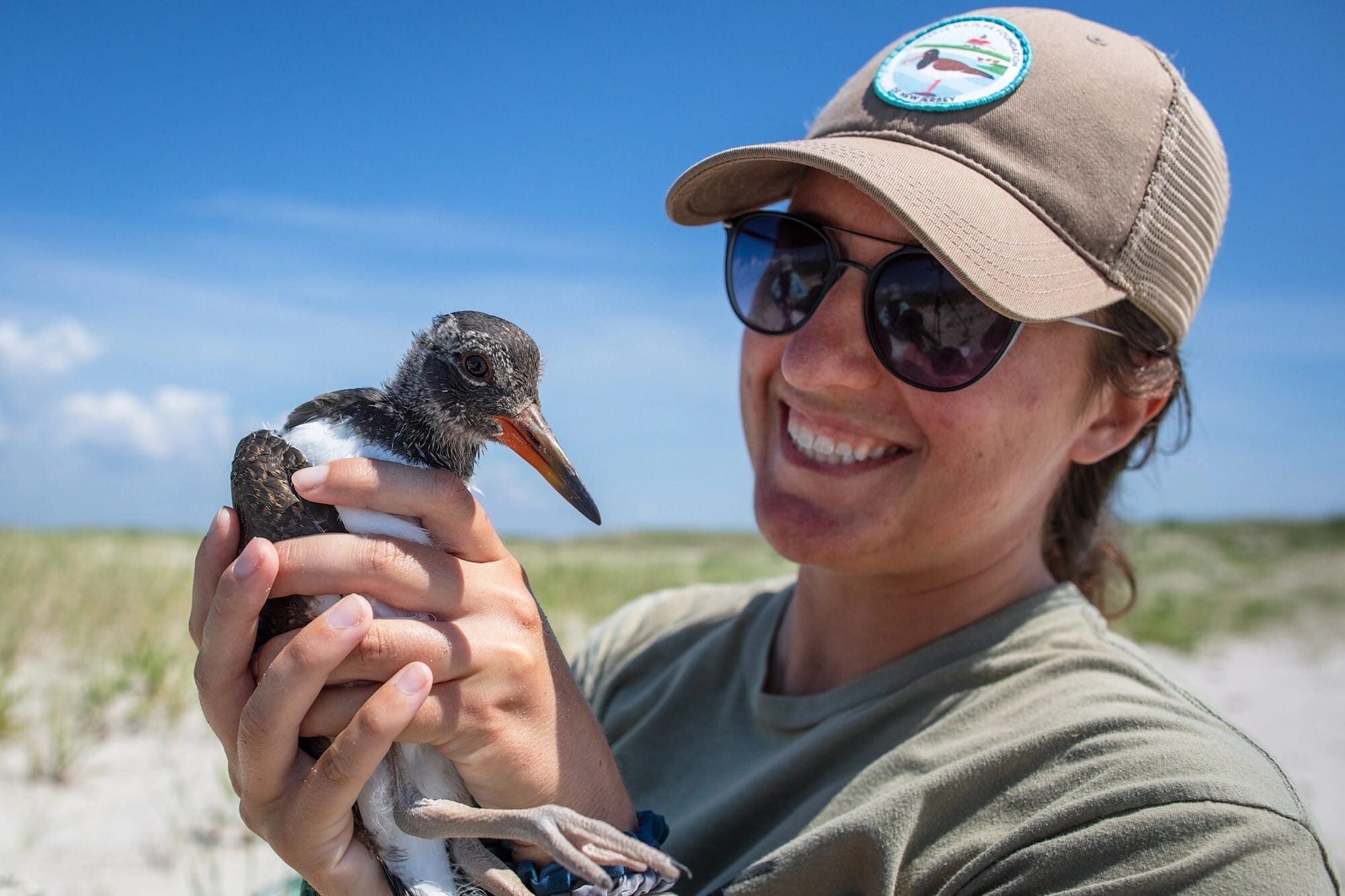 Lessons Learned from a Summer of Banding American Oystercatchers