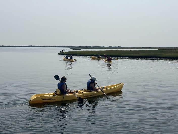 Species on the Edge Winners Explore Sedge Island